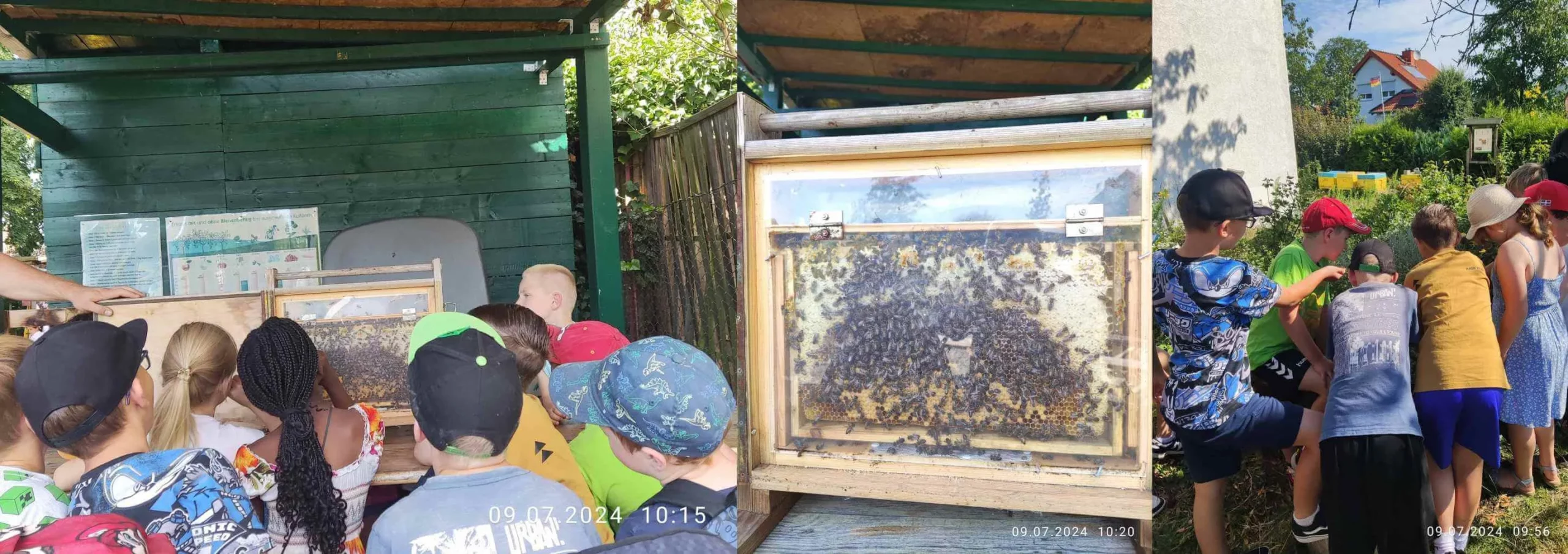Bienenprojekt an der Schule am Mohnweg mit Kindern