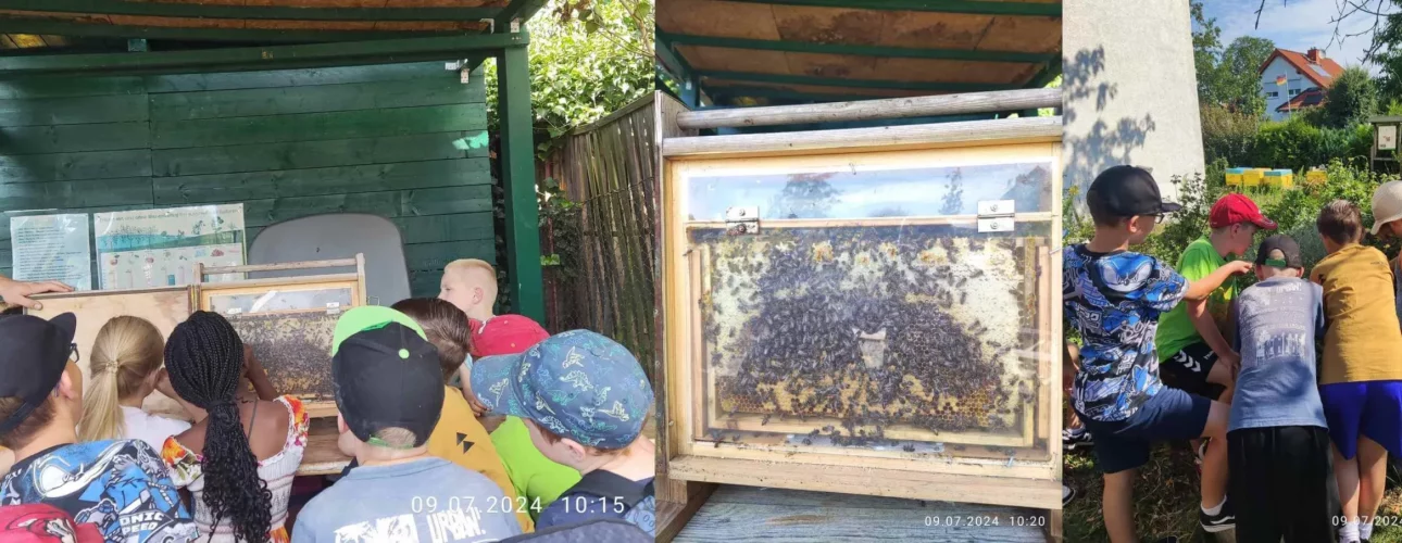 Bienenprojekt an der Schule am Mohnweg mit Kindern